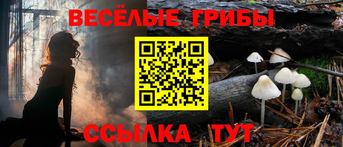 Галлюциногенные грибы MAGIC MUSHROOMS Сорочинск